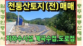 #충주부동산채널 829번 충주시 산척면 석천리 전 천둥산자락토지