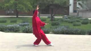 Master Men Ganhong  demonstrating Dong Yue Taiji Hand Form