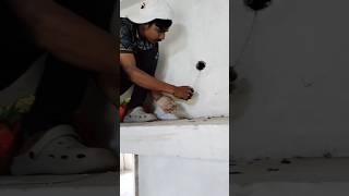 house wairing #rrtech #electricalindia #ytshorts