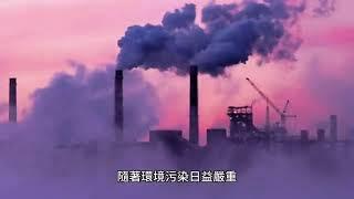 母嬰健康大公開：重金屬的隱藏危機｜瑞克的益享世界｜真益生