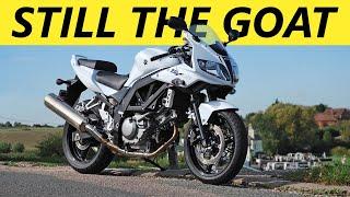 The BEST Beginner Motorcycles in 2024