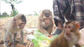 Huong was disappointed when Lambo refused to return home despite trying to persuade him.