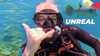 Scuba diving in the Philippines is surreal!