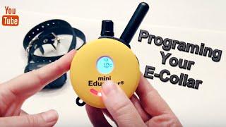 How to Program the ET-300 Mini Educator E-Collar - 1 Dog System.