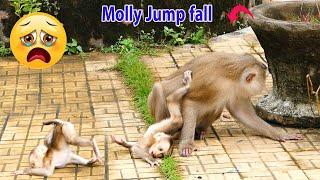 Poor baby monkey Molly jump falls a lot.