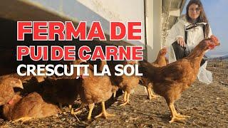 Familia Moraru a investit într-o fermă de pui de carne crescuți la sol