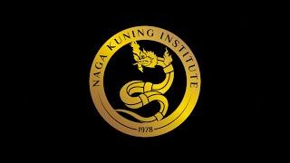 Naga Kuning Institute Italia - Pukulan e Serak