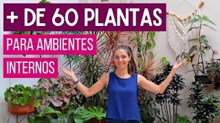 + de 60 PLANTAS para AMBIENTES INTERNOS