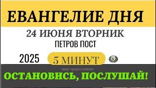 24 июня вторник Евангелие дня 2025 с толкованием #евангелие