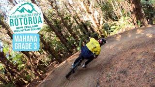 The newest flow trail that completes a new intermediate loop | Mahana, Rotorua