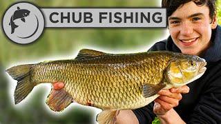 How To Catch Chub - THE FULL GUIDE!