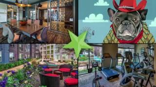 Bell South Lamar | Austin TX Apartments | Bell Apartment Living