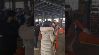 Weiwei Factory workshop visit feed processing machines chaff cutter