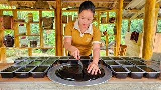 The process of making jelly to sell at the market - Welcoming the newly hatched Chicks.