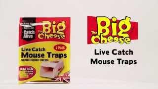 The Big Cheese Live Catch Mouse Trap- How To Video