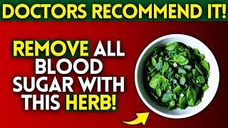 2 Natural Herbs That Lower Blood Sugar | (Experts Recommend for Diabetes!)