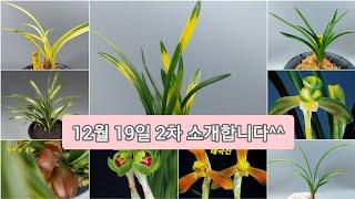 12월19일 2차 소개합니다 ^^