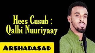 Suldaan Seeraar Hees Cusub 2020 Qalbi Nuuriyaay