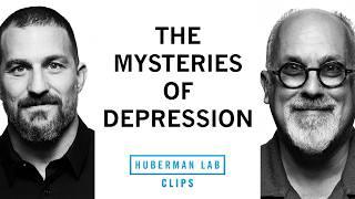 The Complexities of Treating Depression | Dr. David Linden & Dr. Andrew Huberman