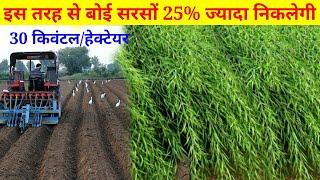 सरसों की खेती कैसे करें, sarson ki kheti kaise karen, how to grow mustered, mustered farming