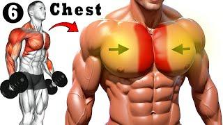 6 Perfect Chest Workout