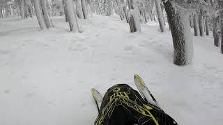 2020.5 SKI DOO Turbo w/ Diamond S Quite in Deep Crusty Trees .RIDERSRIDE