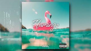 FREE Spanish Guitar Loop Kit / Sample Pack - "FLAMINGO" [20 Royalty-Free Samples]