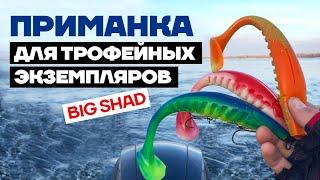 Виброхвост Flagman Big Shad - крупная силиконовая приманка из мягкого силикона для трофейной рыбы