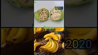 How foods used to look like, before humans modified them #shorts #trending #garden #viral #fruits