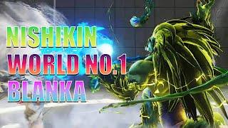 NISHIKIN World No.1 BLANKA  sf5 Season5 SF5 FGWX  StreetFighter5 sfv sf5ce