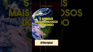 Os animais mais perigosos do mundo. Parte 2 #curiosidade #animais