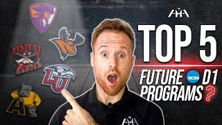 Top 5 Hockey Programs That Should Get Promoted to the NCAA D1 Level