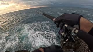 Shore Jigging - Albacore in morning