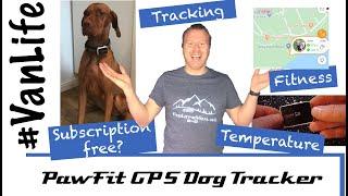 Pawfit GPS dog tracker - review