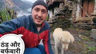 सर्दियों की बारिश से ही झरनों में पानी आने लग गया || Pahadi Lifestyle Vlog || Cool Pahadi