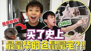 我买了史上最豪华的仓鼠豪宅?!!! 它竟然从二楼跃下差点....[JudeTube]