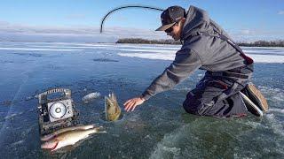 Early Ice Fishing for Eater Walleyes! (CATCH CLEAN COOK)