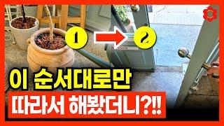 [식물 전문가의 비법 대공개‍️] 아침엔 이것만 해주면 됩니다ㅣ🪴가장 완벽한 식물 관리 방법! 출근 전 아침에는 이렇게 해주세요, 식물이 빠르게 성장합니다 (순서의 중요성)