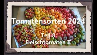 Tomatensorten 2024 Teil 8 - Fleischtomaten II