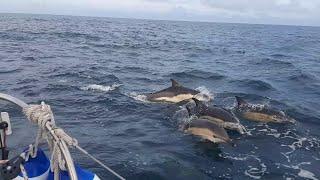 Sailing around Britain Ep6 The Jester Baltimore Challenge, Hurley 22 'Katrina' 300nm 4 days at sea