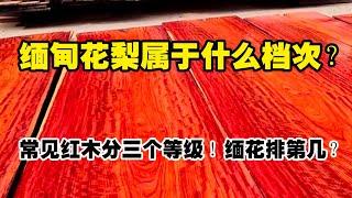 缅甸花梨大果紫檀属于什么档次？常见的国标红木分3个等级！缅花排第几？