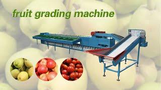 Automatic fruit grading sorting machine for apple,orange,pear,citrus