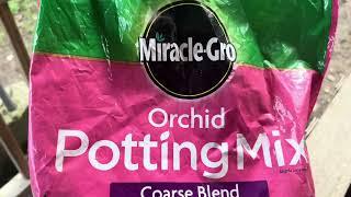 REVIEW of Miracle Gro, Orchid Potting Mix