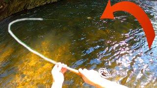 SUCCESS At The Hidden Creek! | Small Stream Fly Fishing For BROWN TROUT