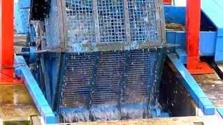 サケとインデアン水車 Salmon and fish wheel Chitose River Hokkaido Japan