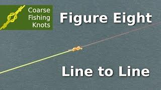 Figure of eight line to line knot