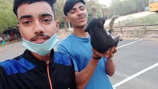 SPECIAL || HOLI WITH DOGS ||SUMIT KUMAR VLOGS || BAAD MA MOOD // KHRAB HO GYA