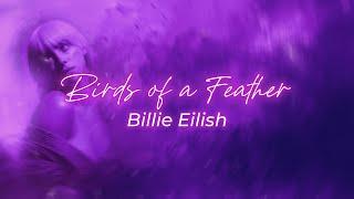 Billie Eilish - BIRDS OF A FEATHER || Lyric Video || Toplist on Spotify 2024