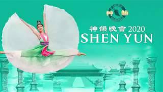 神韻藝術團——COVID 19新冠病毒超級傳播者