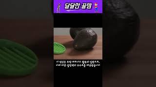 아보카도를 쉽게 손질해보자 - 옥소 슬라이서 | 아보카도칼